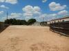 Motel Executive Inn Pearsall