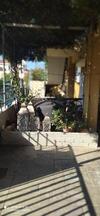 Apartamento Cozy House 2
