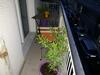 Apartamento Homy Cozy Studio Towards The Centre