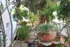Zorzis Hotel -adults Only