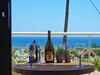 Blue Vision Luxury House