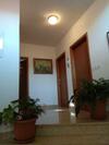 Apartman Ostrea ***