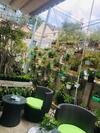 Apartamento Hanz Little House Dalat