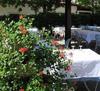 Hotel Albergo Grobberio