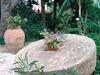 Agroturismo Tenuta Venezia