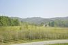 Agroturismo Agriturismo Il Nido Di Bacco