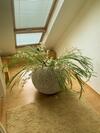 Apartamento Ferienwohnung Toni