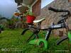 Yuksam Pala's Homestay
