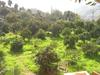 Apartamento Finca Tom�s Y Puri