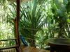 Hotel El Peque�o Gecko Verde