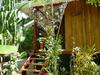 Hotel El Peque�o Gecko Verde