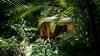 Hotel El Peque�o Gecko Verde