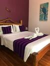 Hotel El Peque�o Gecko Verde