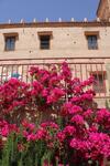 Hostal Escale Rando Taliouine