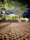 Tatala Hotel & Garden