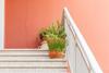 Apartamento Coastal Home