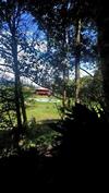 Lodge Hotel Orqu�deas Runtun