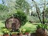 Agroturismo Agriturismo Il Viaio