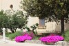 Agroturismo Masseria Pagani