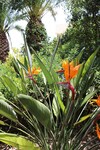 Agroturismo Masseria Pagani