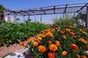 Agroturismo Corte Breda, Agriturismo Bed&breakfast