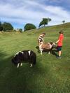 Bed & Breakfast Cabane Dans Les Arbres / Swin-golf De Cremin