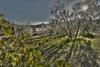 Agroturismo Agriturismo Sottotono
