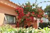 Village & Camping La Foce