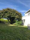Bed & Breakfast Chambre D'hotes Ker Bel Leur