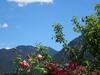 Apartamento Alpin-check-in