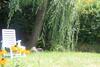 Hotel Garn� Goccia D'oro