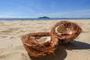 Pandanus Holiday Apartments