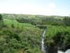 The Wilds At Salmonier River
