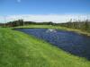 The Wilds At Salmonier River