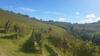 Apartamento Casa Vacanze Dogliani