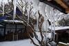 Apartamento Altes Sch�ferhaus
