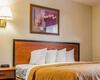 Hotel Quality Inn Durand