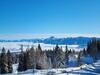 Apartment Und Ferienwohnung Ossiachersee Direkt An