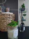 Noa Luxury Apartment