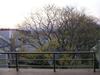 Lovely 2 Bed Upstairs Apartment In Bryanston