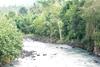 Albergue Jungle House - Surf & Stay