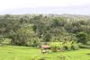 Albergue Jungle House - Surf & Stay