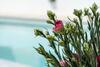 Lovely Renovated Villa With Pool, Up To 9 Persons