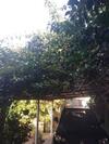 Casa Com Jeito De S�tio Na Cidade