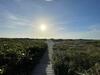 Venice Island - Dog Friendly - Walk To Beach - Work Ready