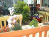 Bed & Breakfast Le Coccinelle Di Maria