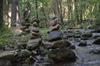 Hostal Shadow Mountain Escape Cabin Rentals