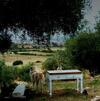 Bed & Breakfast Nacchinono