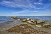 Oceanfront Cape Cod Home With Porch, Yard And Grill!