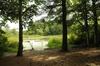 Gateway To Cape Cod Vacation Cottage 11